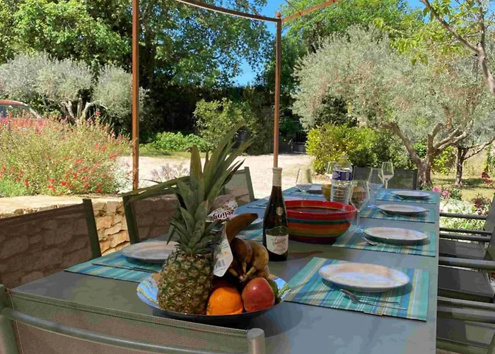 Maison De A Louer Dans Le Gard Provencal, Semaine De 7 Jours Minimum, Samedi Au Samedi, 10 Personnes, Du Colombier Tatil Evi Saint-Michel-d'Euzet